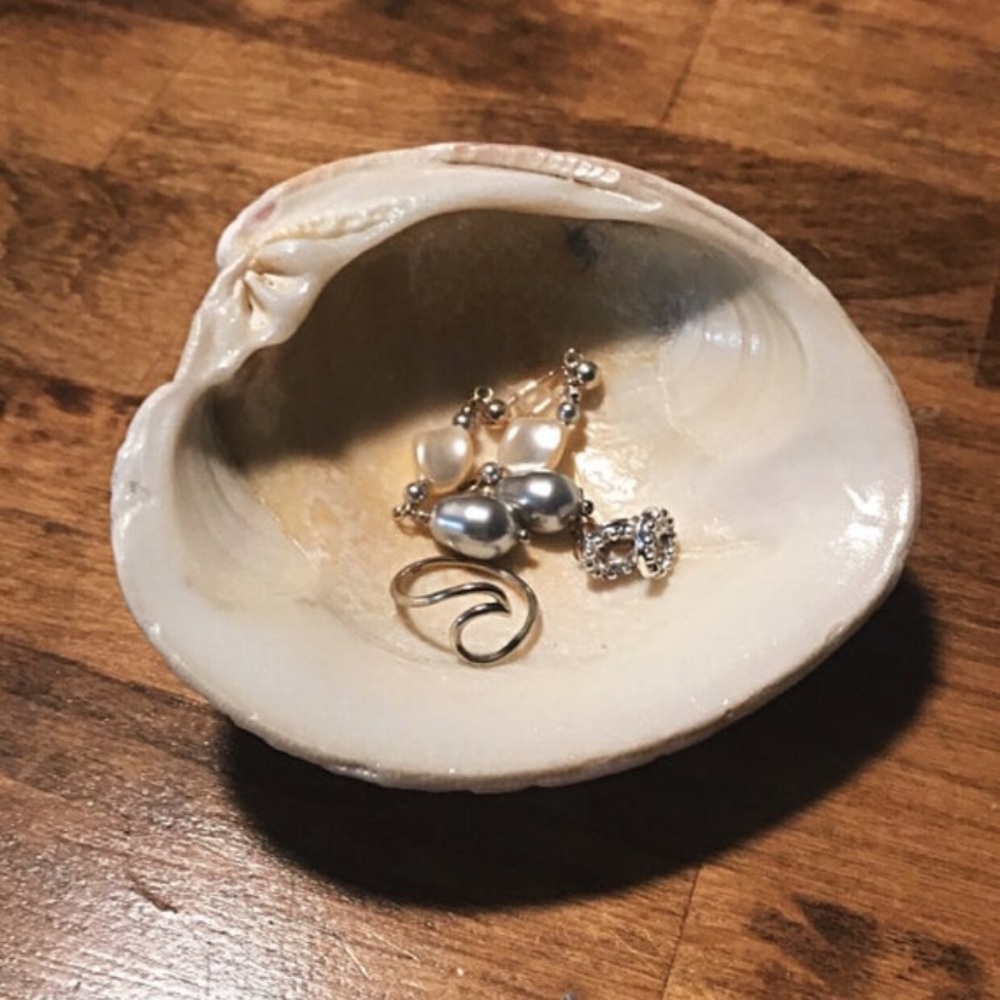 Seashell jewelry holder